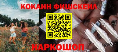 дживик Можга