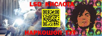 дживик Можга