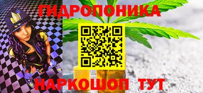 дживик Можга