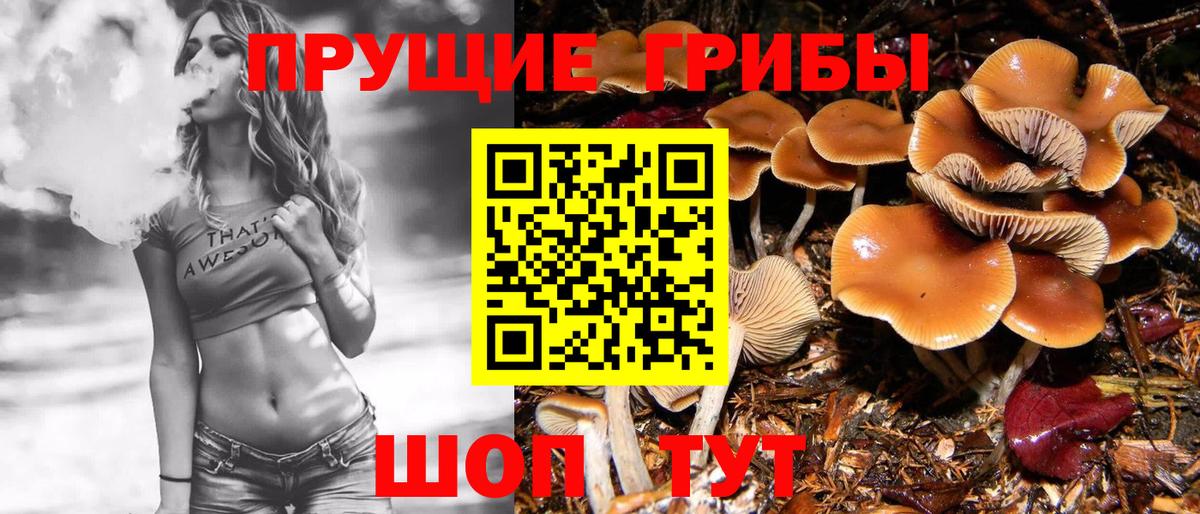 Галлюциногенные грибы Psilocybe Симферополь