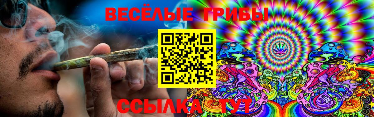 Псилоцибиновые грибы GOLDEN TEACHER  Вход с VPN  Псилоцибиновые грибы Cubensis  Симферополь 